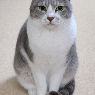 見てるだけで癒されるかわいい女の子