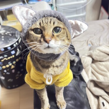 天国に行く1週間前です。