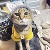 天国に行く1週間前です。
