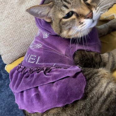 16年目の誕生日を迎えた頃です