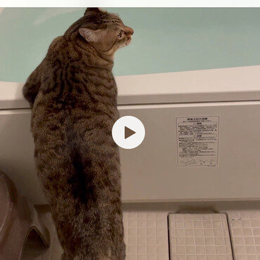 お風呂のお水がなぜか大好きです