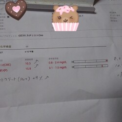 「黒ちゃん病院」サムネイル2