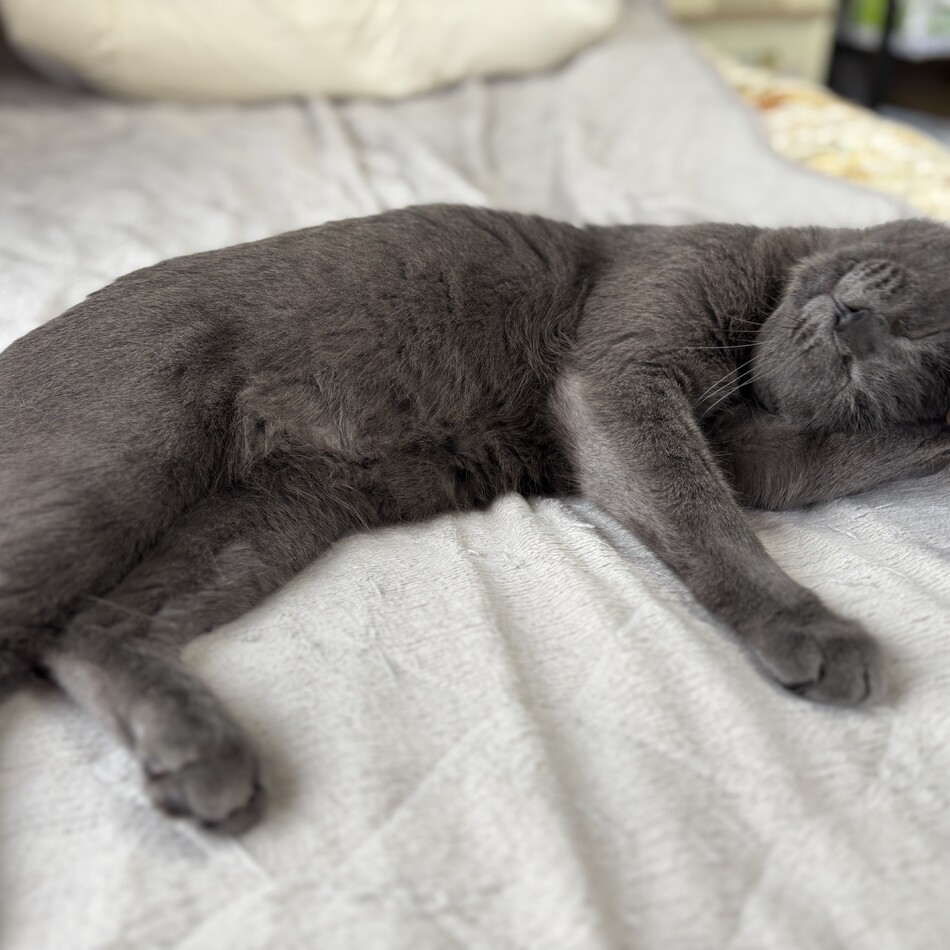 福（ふく）のカバー写真