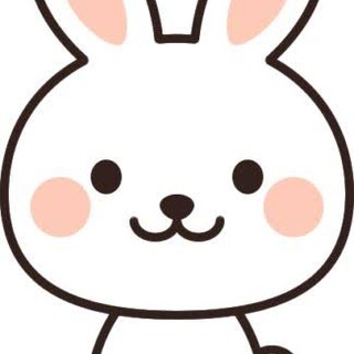 ホーランドロップ１歳の男の子