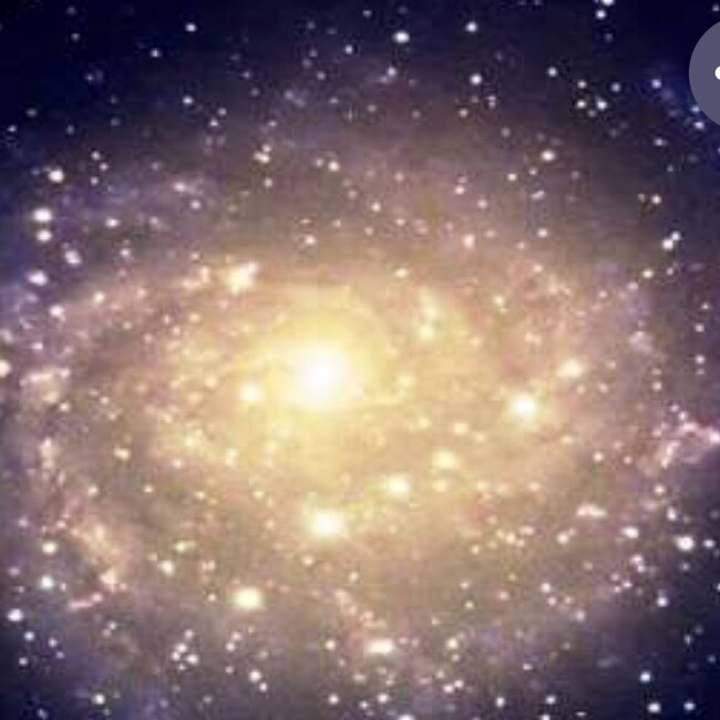 セントラルサンのカバー写真