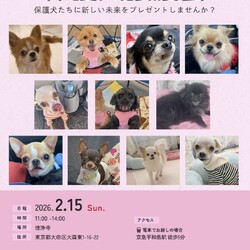 forわんDog譲渡会at徳浄寺