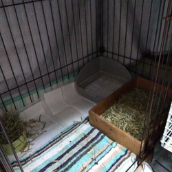 「エンペラーのおウチ」サムネイル2