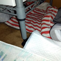 「エンペラーのおウチ」サムネイル3