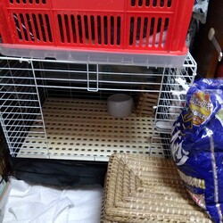 まねきのおウチ