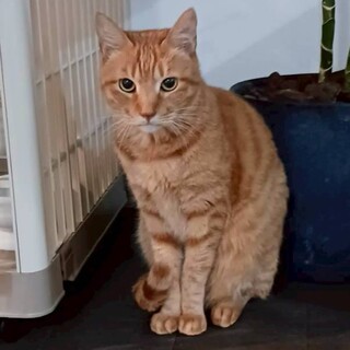 のんびり屋さんで大人しい男の子★カナエくん