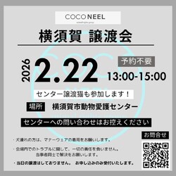 横須賀市譲渡会