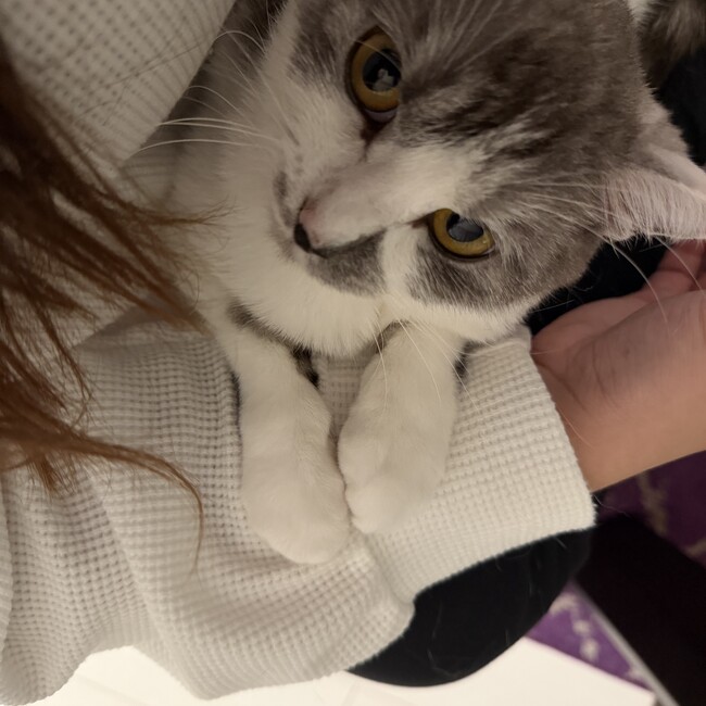 北沢美由樹のカバー写真