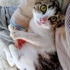 懐っこいくぅちゃん サムネイル2