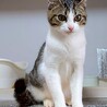 懐っこいくぅちゃん サムネイル4