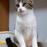 懐っこいくぅちゃん サムネイル5