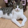 懐っこいくぅちゃん サムネイル7
