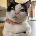 ミアちゃん