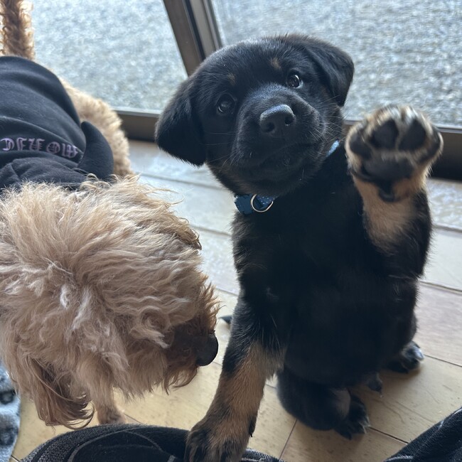 にみーのカバー写真