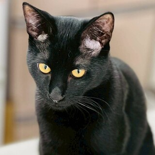 2/15カインズ浦和美園参加