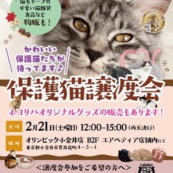 保護猫譲渡会@オリンピック小金井店 サムネイル1