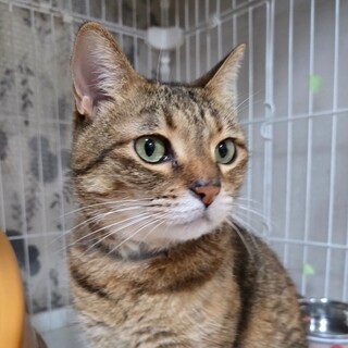 2/15カインズ浦和美園参加