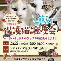 保護猫譲渡会@ユアペティア雪谷大塚店