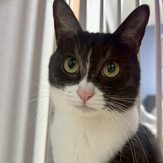 2/15カインズ浦和美園参加