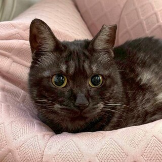 2/15カインズ浦和美園参加