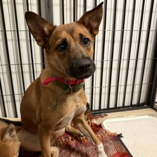 【遊ぶのが大好きな甘えん坊な男の子】空くん