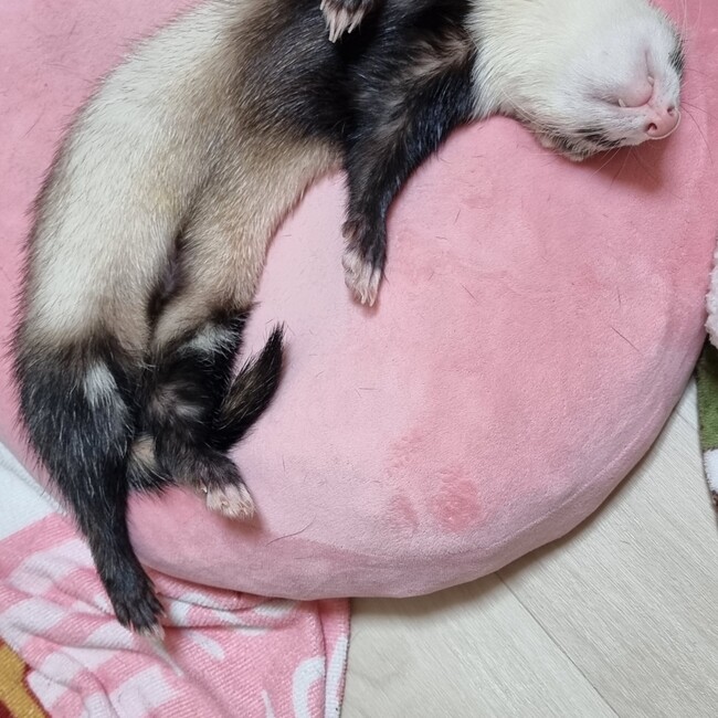 つきユジのカバー写真