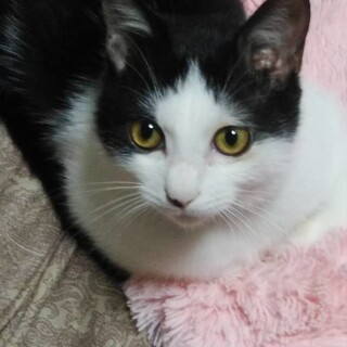 ふうたくん（仮名）です