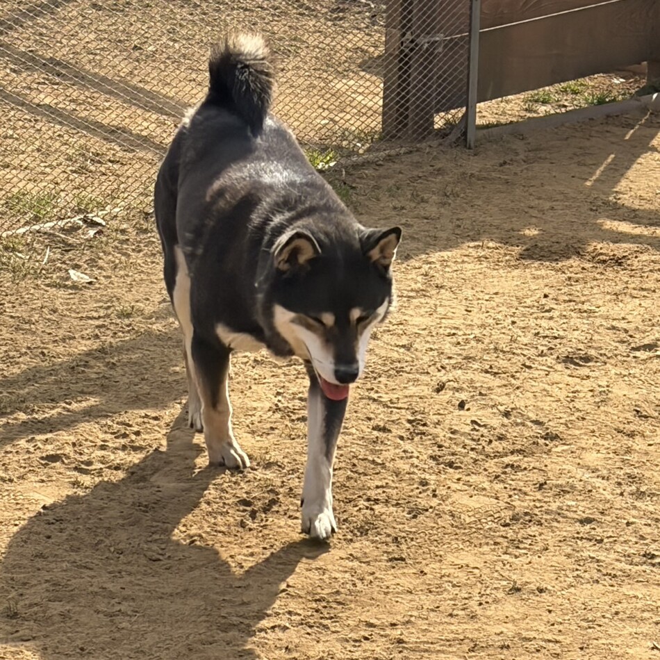 みりんのカバー写真