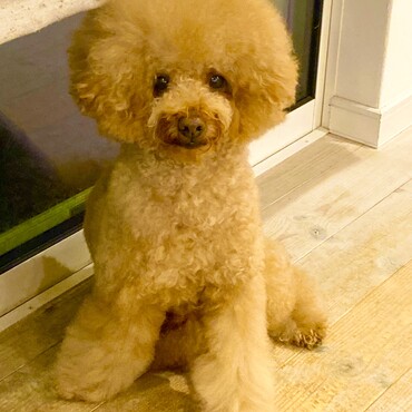 シトロン君　カメラ目線でポーズ