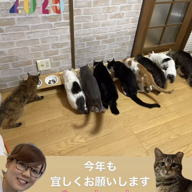 many happy dayのカバー写真