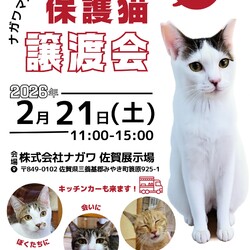 ねこ善保護ねこ譲渡会＠ナガワマルシェ