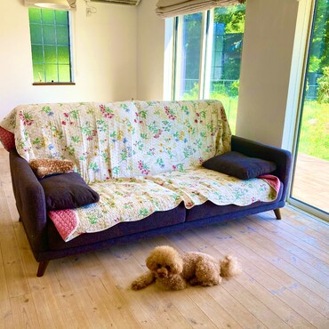 シトロン君　お家にて