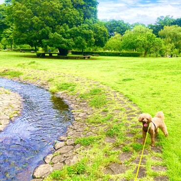 シトロン君　古河総合運動公園にて