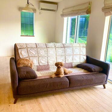 シトロン君　お家にて