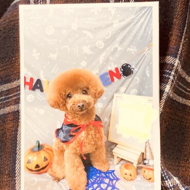 シトロン君　トリミング写真