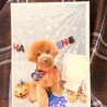シトロン君　トリミング写真