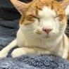 くろそな