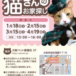 第90回 ViVAキャッツ譲渡会