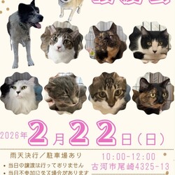 保護犬猫☻譲渡会 @古河市 サムネイル1
