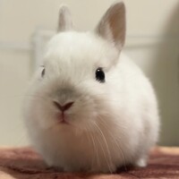 スタちゃん（仮名）