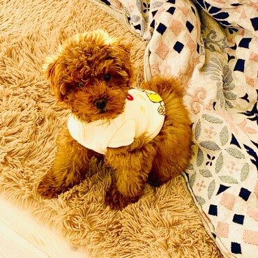 シトロン君　赤ちゃんの時