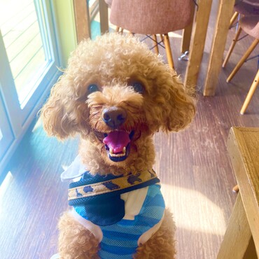 シトロン君　いい笑顔