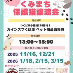 くみまち保護猫譲渡会 サムネイル1