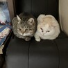 なおき1410