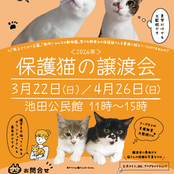 NECOAS 保護猫譲渡会 静岡市駿河区
