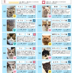 「2月15日ラブとハッピー府中 保護猫譲渡会参加猫」サムネイル1